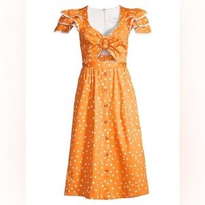 BNWT Azulu Serengeti Polka Dot Cut Dress